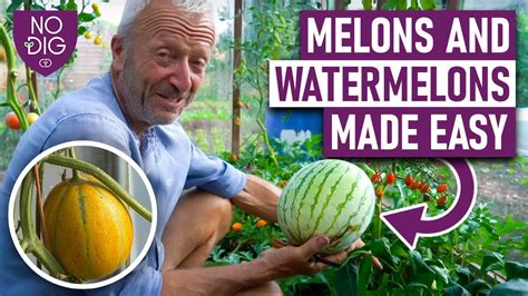 melonsrube|Free Melons Tube Porn Videos